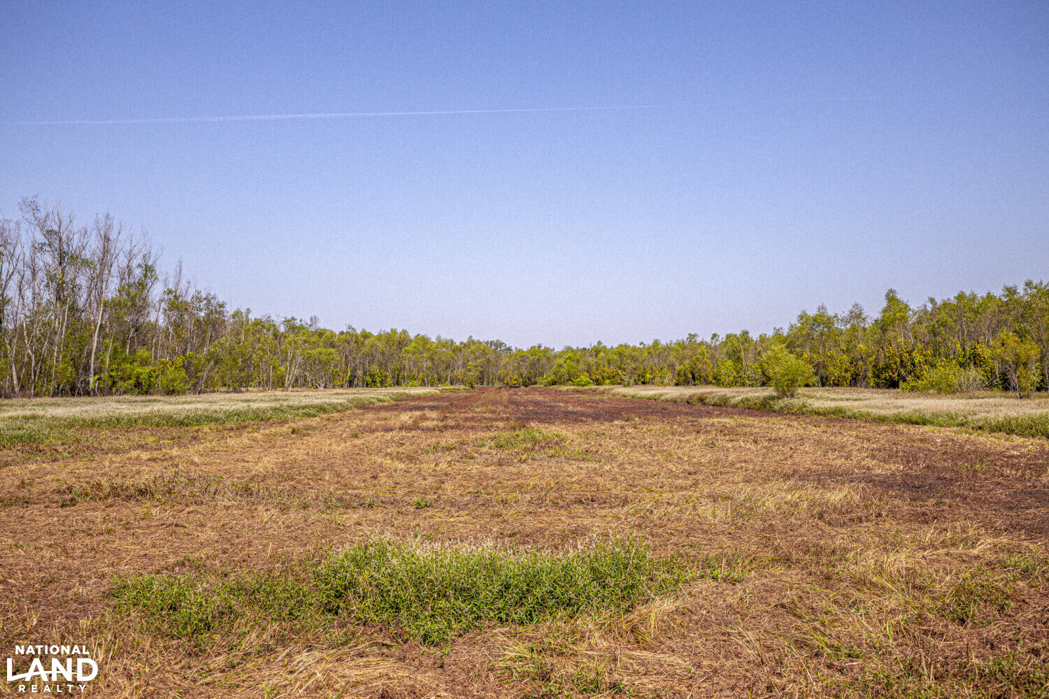 " North Panther Swamp " WRP 118 in Humphreys County, Mississippi (82