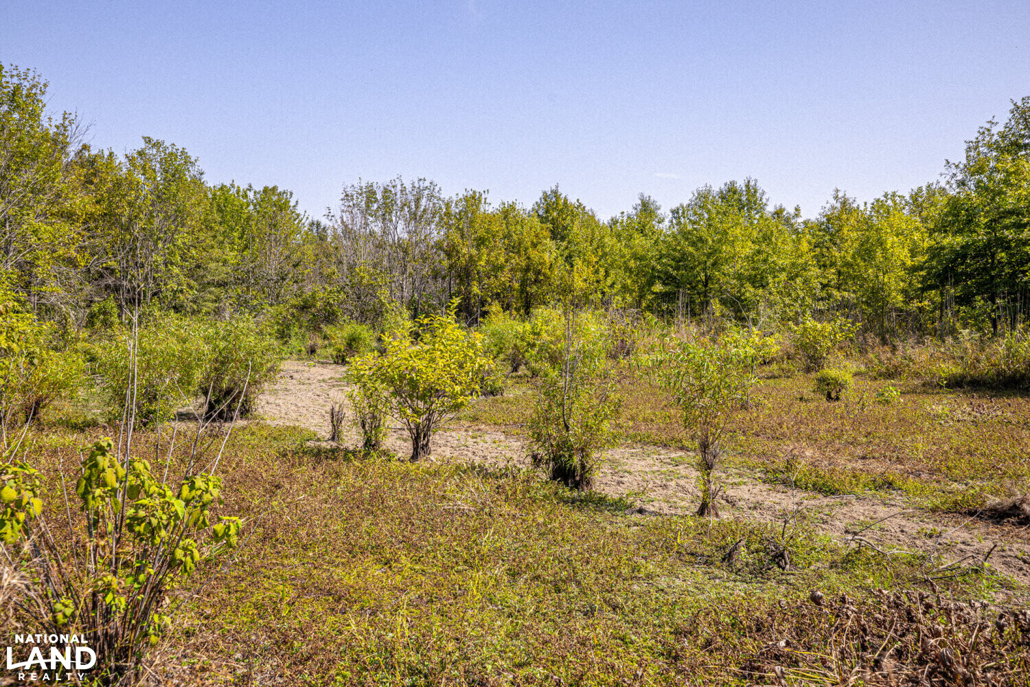 " North Panther Swamp " WRP 118 in Humphreys County, Mississippi (82