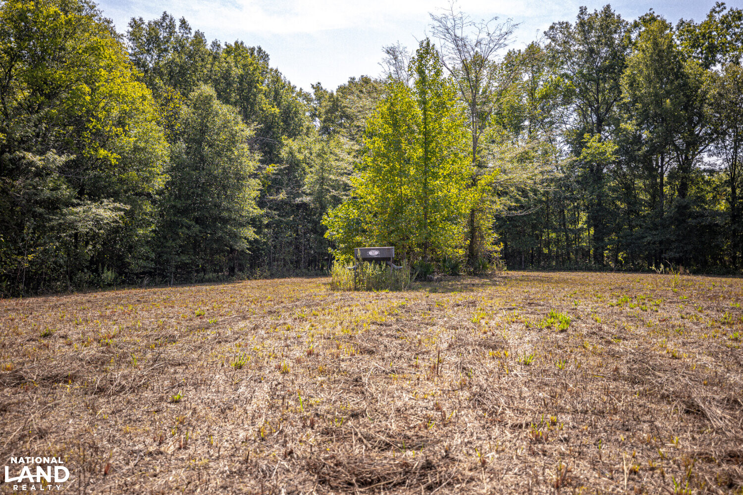 " North Panther Swamp " WRP 118 in Humphreys County, Mississippi (82