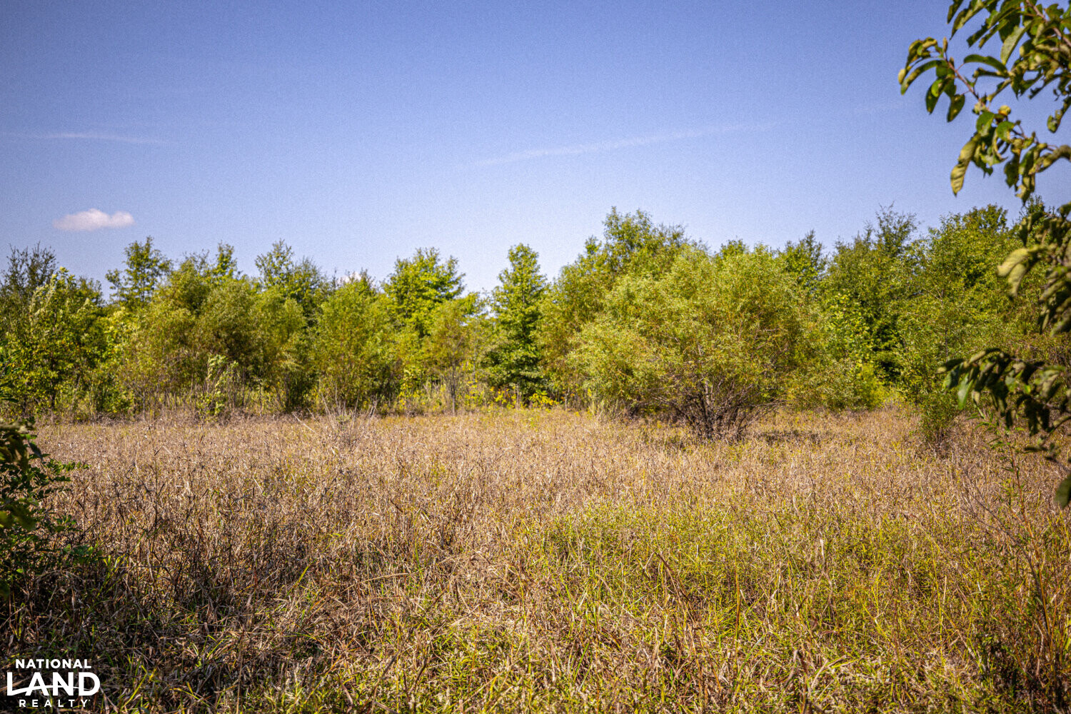 " North Panther Swamp " WRP 118 in Humphreys County, Mississippi (82