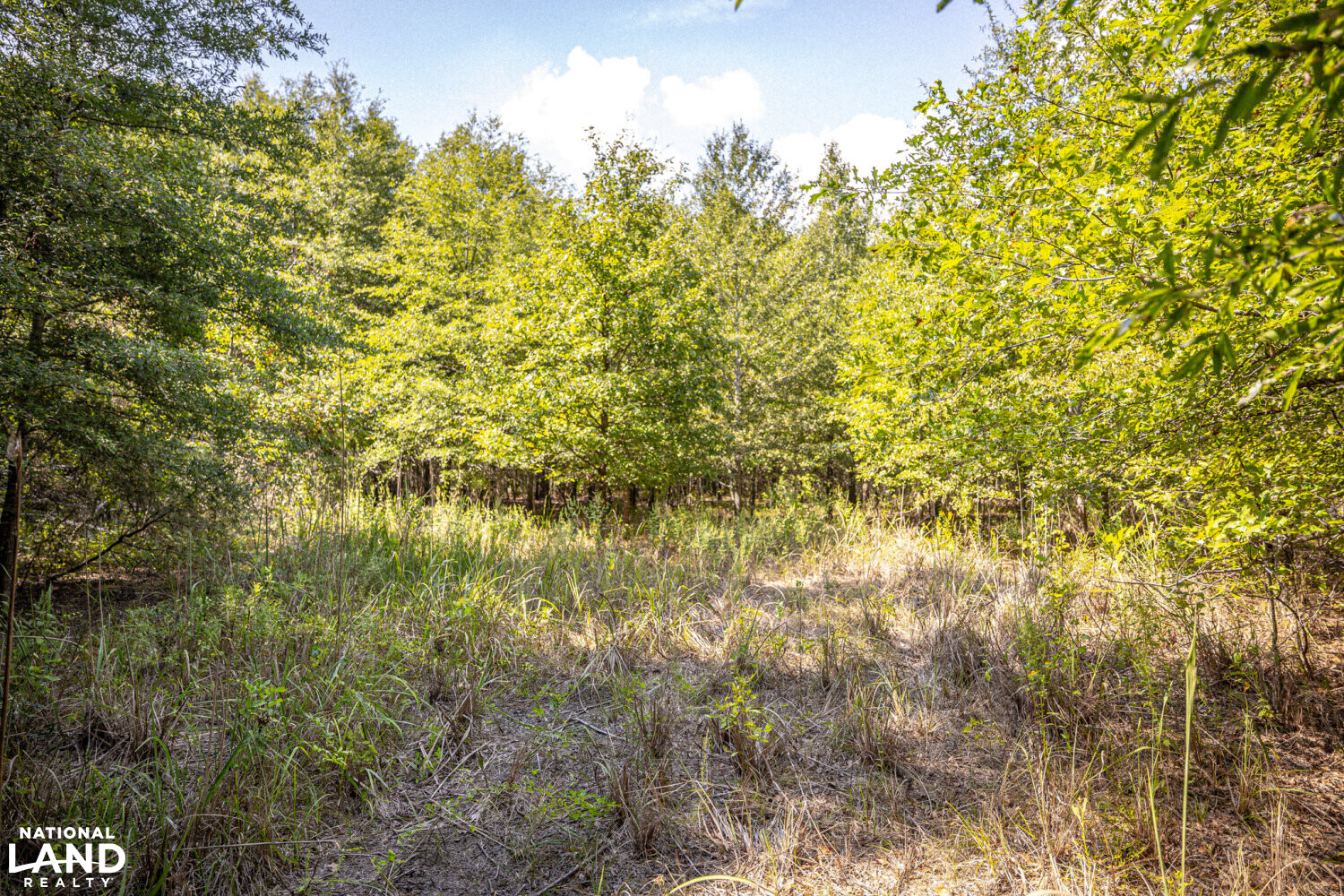 " North Panther Swamp " WRP 118 in Humphreys County, Mississippi (82