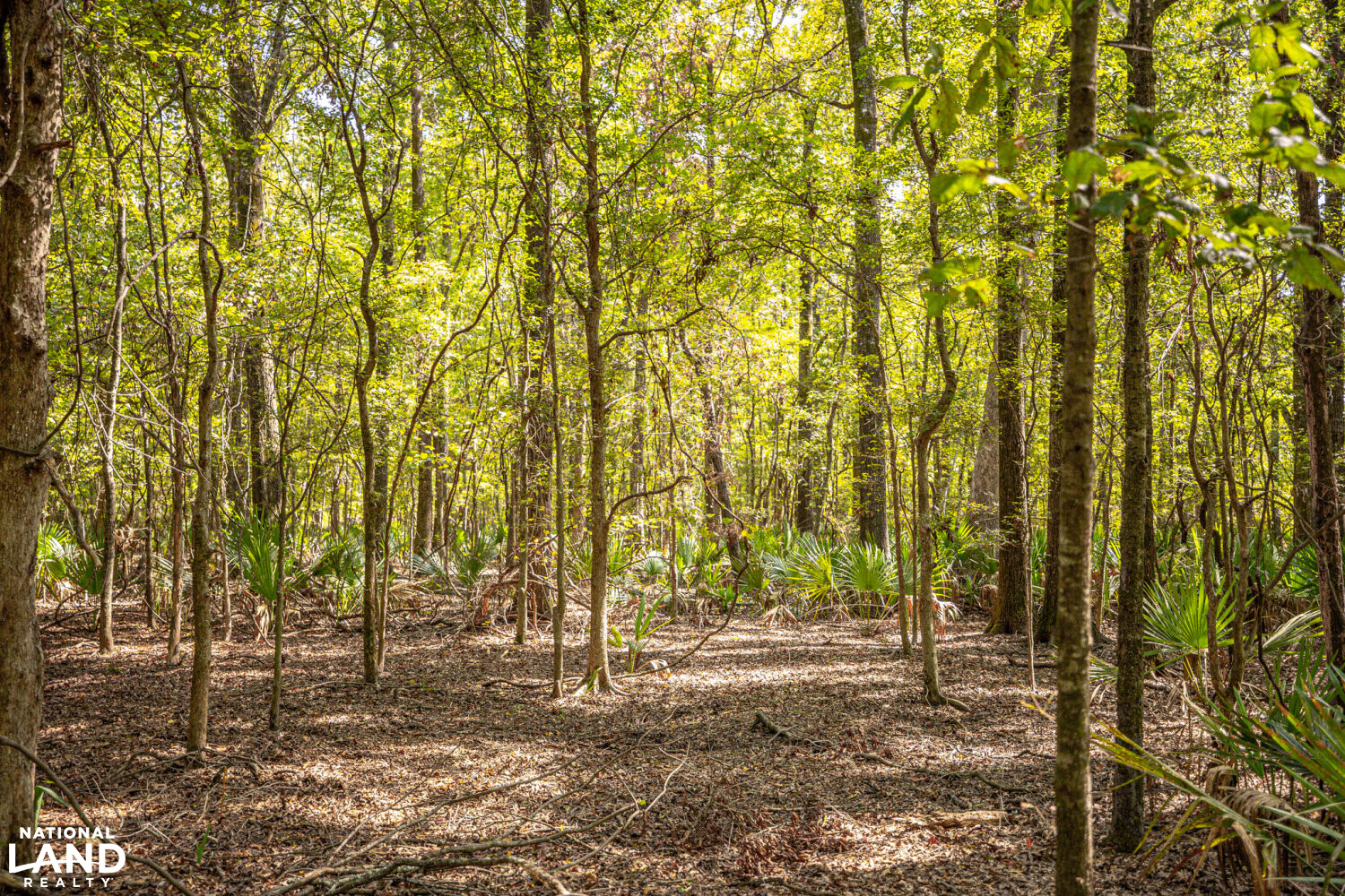 " North Panther Swamp " WRP 118 in Humphreys County, Mississippi (82