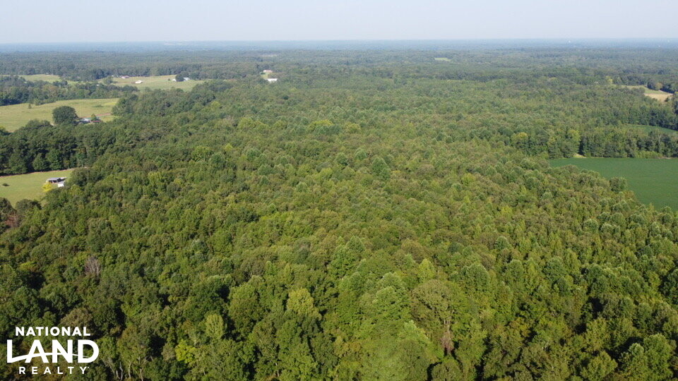 Oak Grove Church Road in Hardeman County, Tennessee (20 Photos