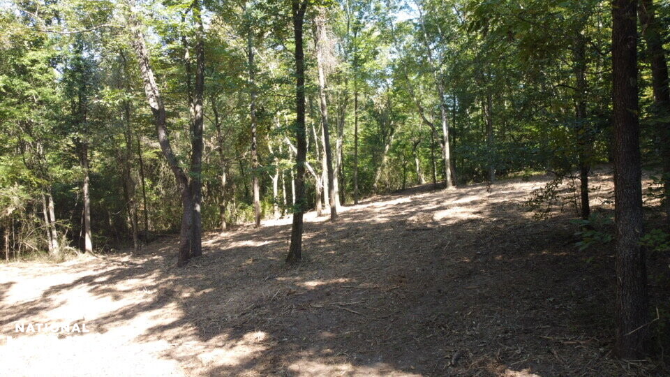 Oak Grove Church Road in Hardeman County, Tennessee (20 Photos