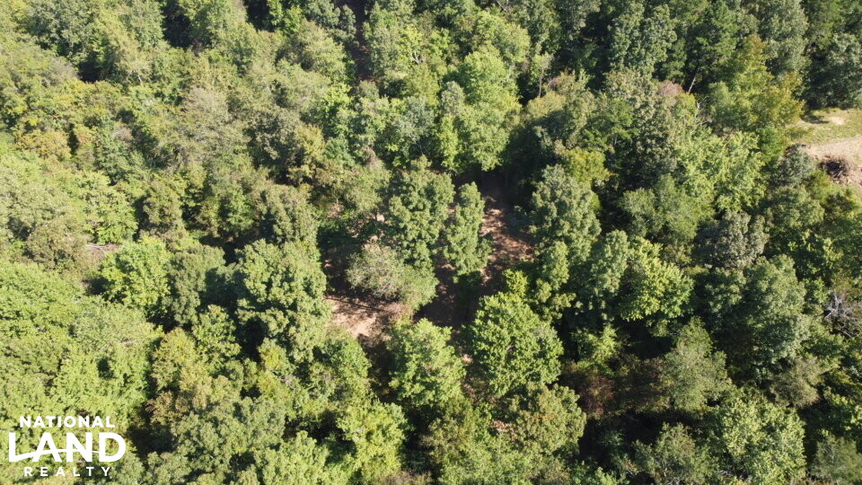 Oak Grove Church Road in Hardeman County, Tennessee (20 Photos