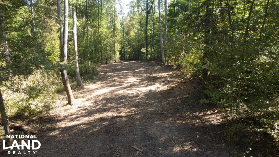 Oak Grove Church Road in Hardeman County, Tennessee (20 Photos
