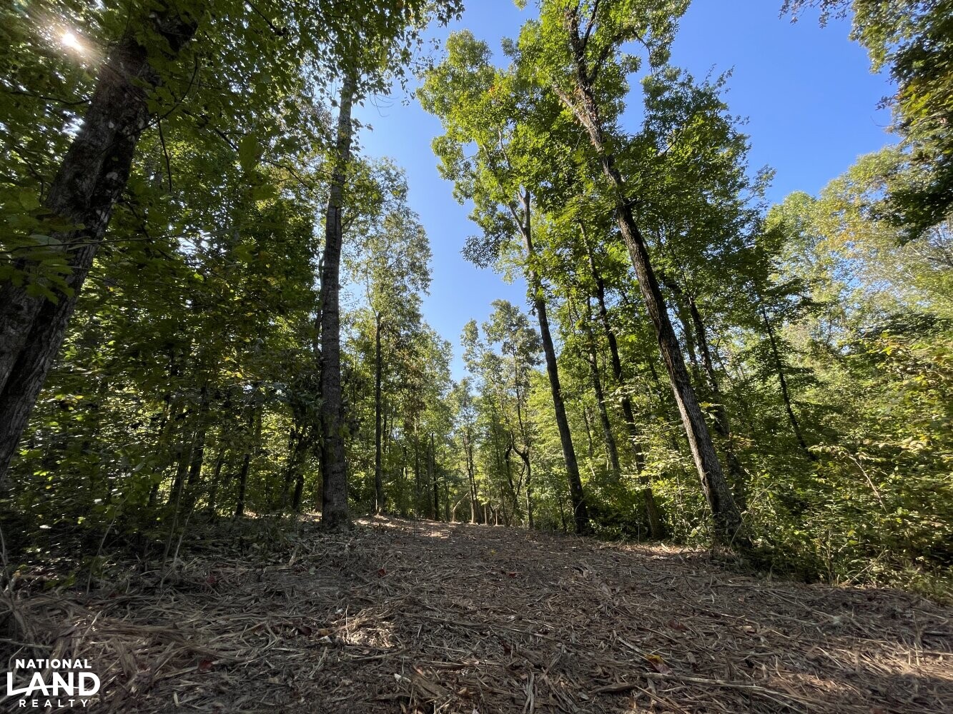 Oak Grove Church Road in Hardeman County, Tennessee (20 Photos