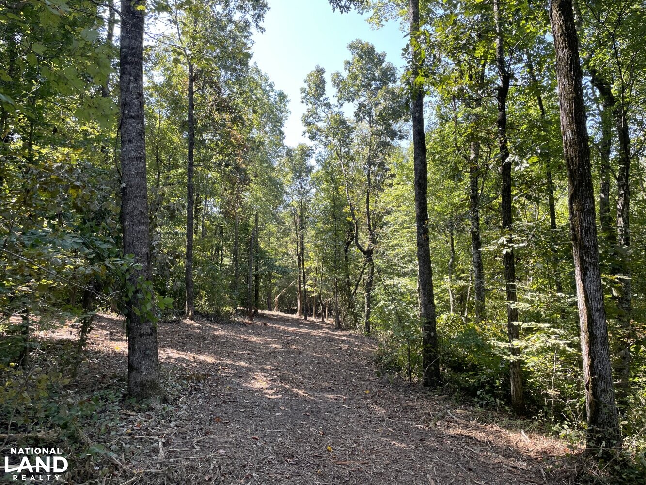 Oak Grove Church Road in Hardeman County, Tennessee (20 Photos