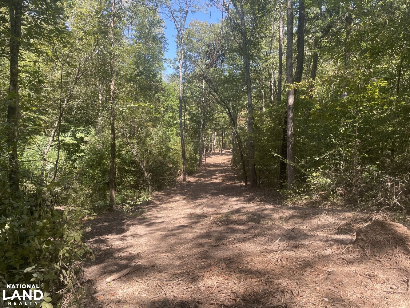 Oak Grove Church Road in Hardeman County, Tennessee (20 Photos
