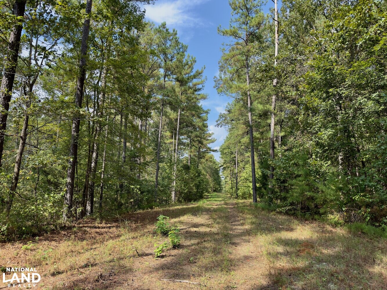 Woodstock Lakeside Estate in Bibb County, Alabama (32 Photos