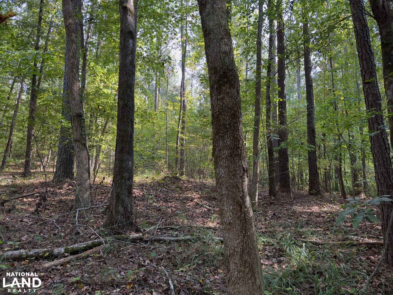 Woodstock Lakeside Estate in Bibb County, Alabama (32 Photos