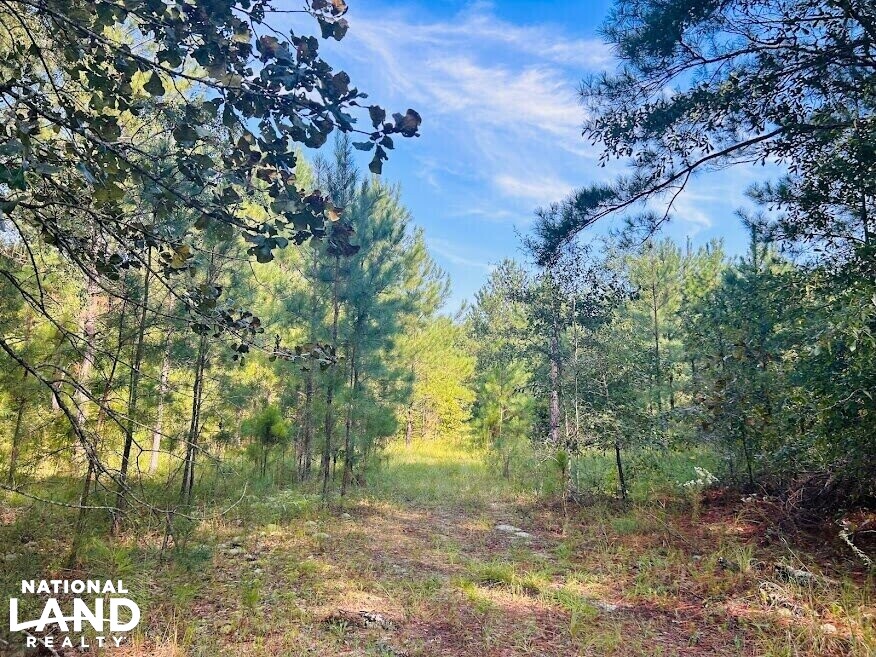 Recreational Hunting Land with Fixer Upper in Laurens County,