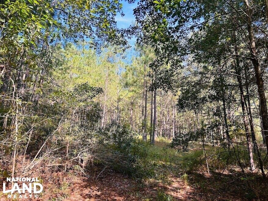 Recreational Hunting Land with Fixer Upper in Laurens County,