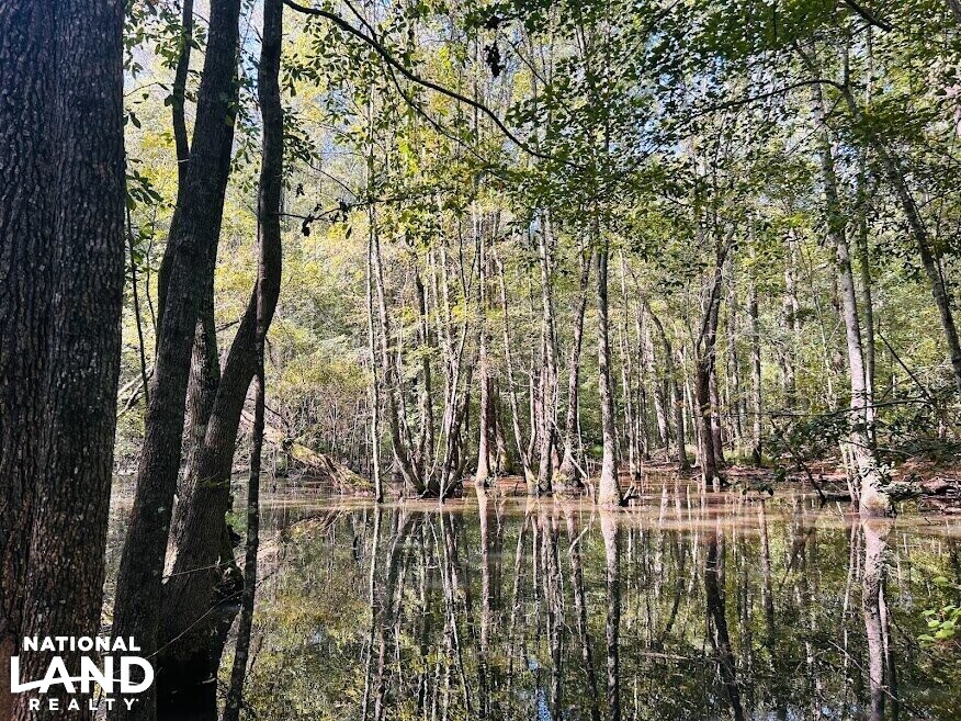 Laurens County Ga Hunting Lease at Marcella Gibson blog