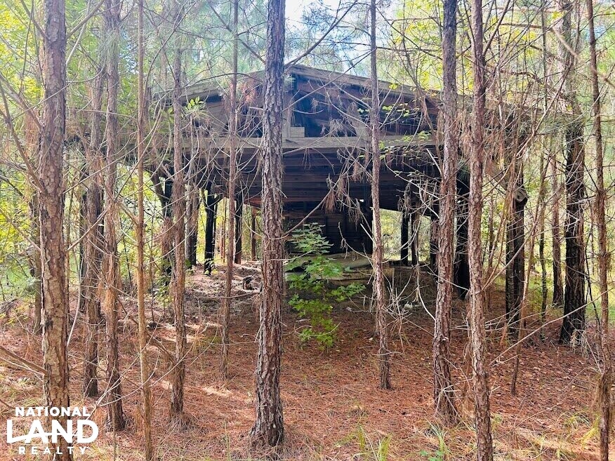 Recreational Hunting Land with Fixer Upper in Laurens County,