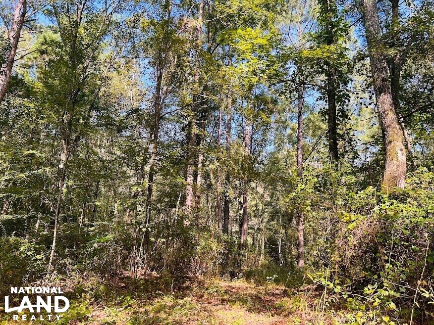 Recreational Hunting Land with Fixer Upper in Laurens County,