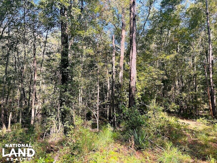 Recreational Hunting Land with Fixer Upper in Laurens County,