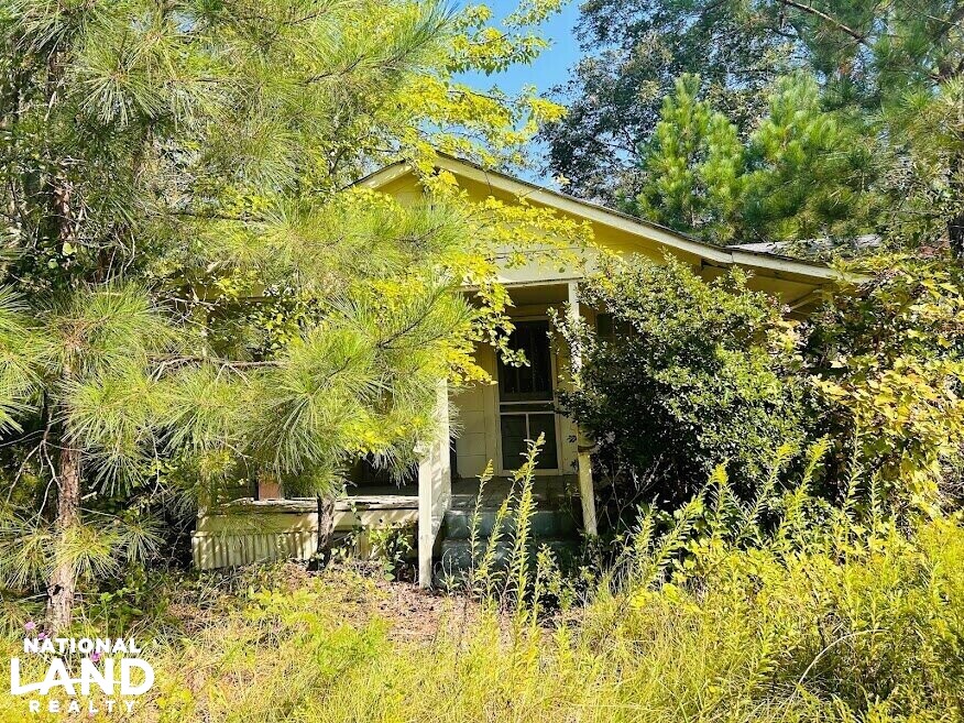 Recreational Hunting Land with Fixer Upper in Laurens County,