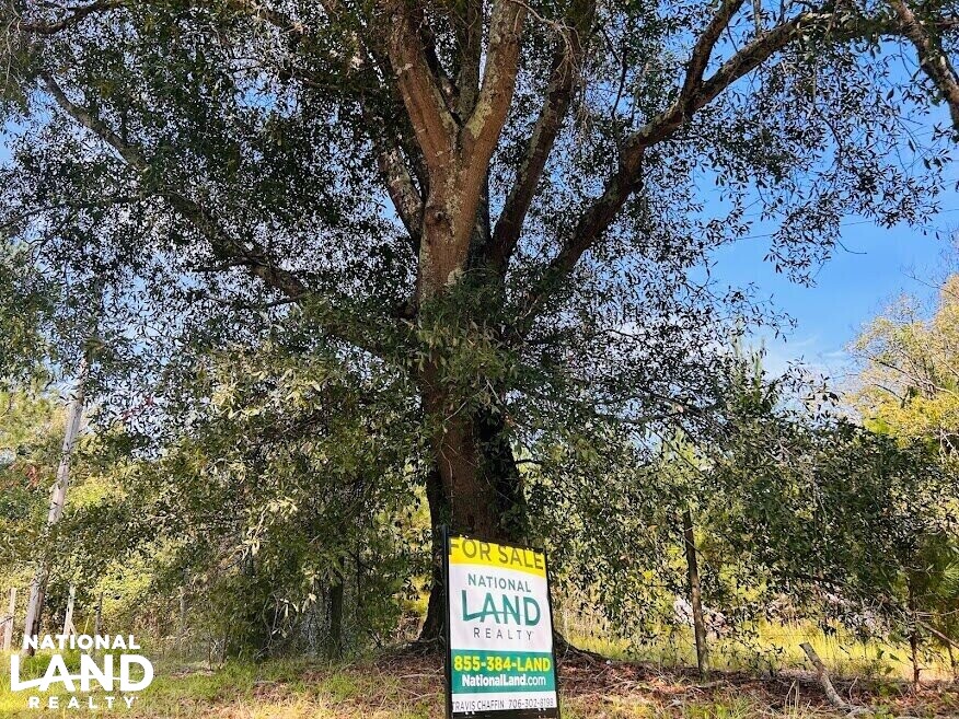 Recreational Hunting Land with Fixer Upper in Laurens County,