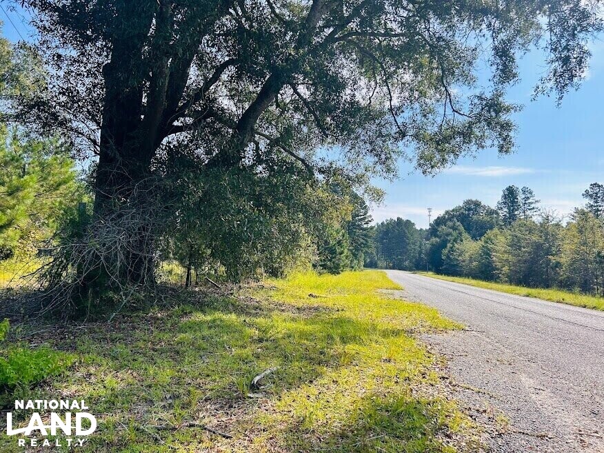 Recreational Hunting Land with Fixer Upper in Laurens County,