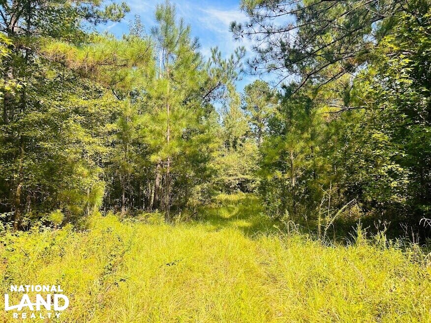Recreational Hunting Land with Fixer Upper in Laurens County,