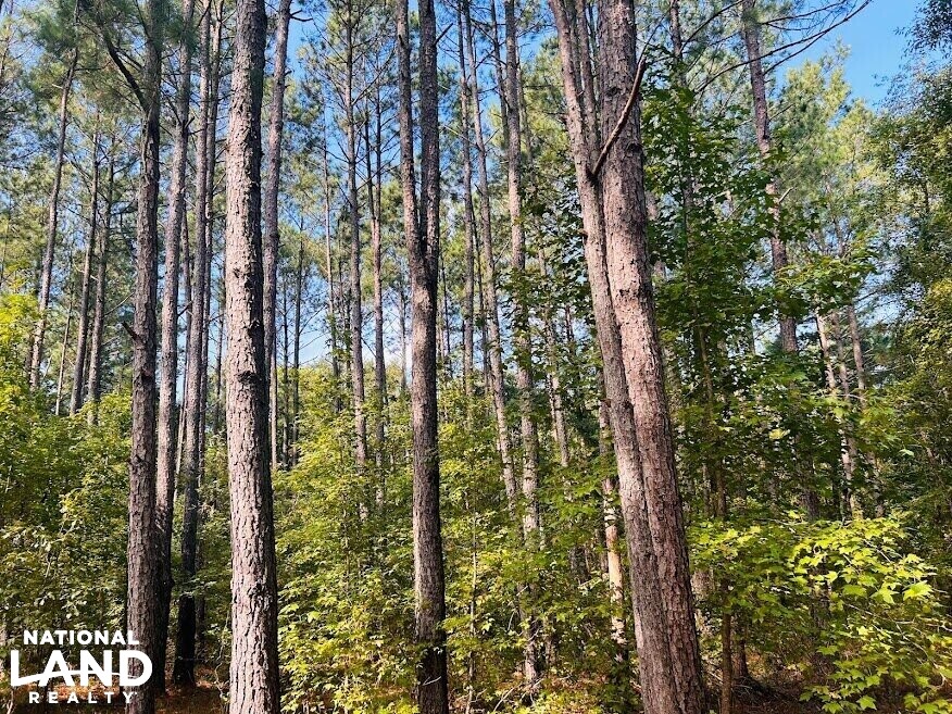Recreational Hunting Land with Fixer Upper in Laurens County,