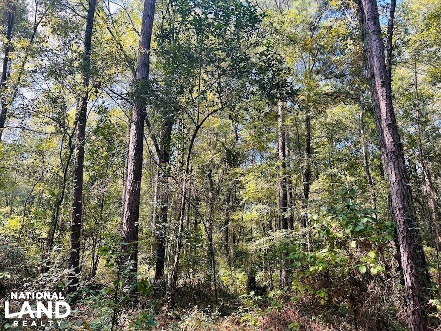 Recreational Hunting Land with Fixer Upper in Laurens County,