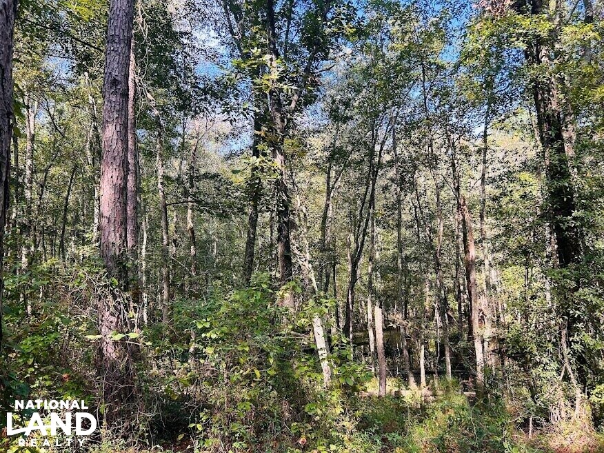 Recreational Hunting Land with Fixer Upper in Laurens County,