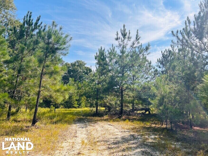 Recreational Hunting Land with Fixer Upper in Laurens County,