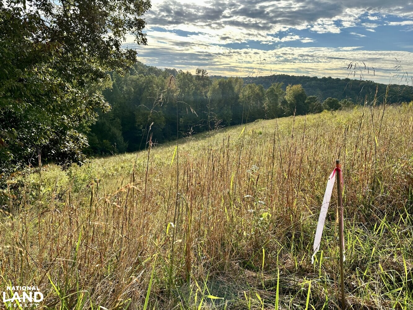 Rolling River Farms Lot 16 in DeKalb County, Tennessee (17 Photos