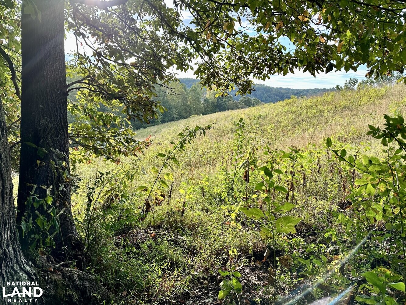 Rolling River Farms Lot 16 in DeKalb County, Tennessee (17 Photos