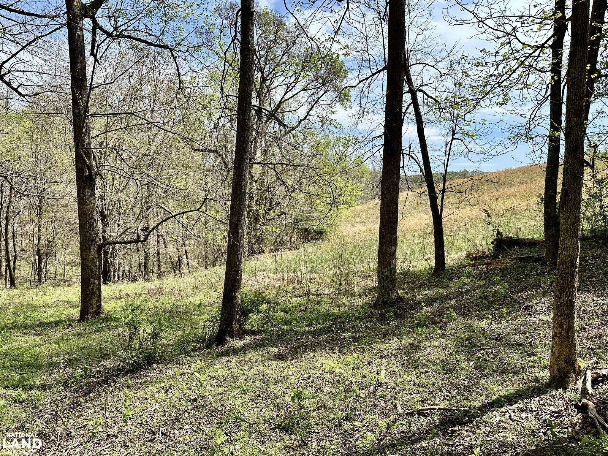 Rolling River Farms Lot 16 in DeKalb County, Tennessee (17 Photos