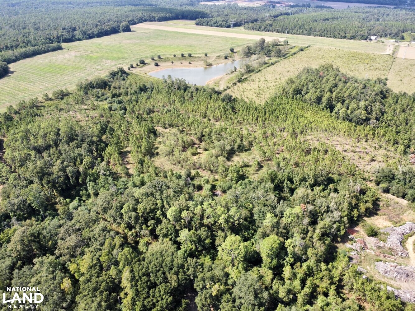 The Daphne Belforest Farm Lakefront Homesite With Acreage Lot 2 & 4 in