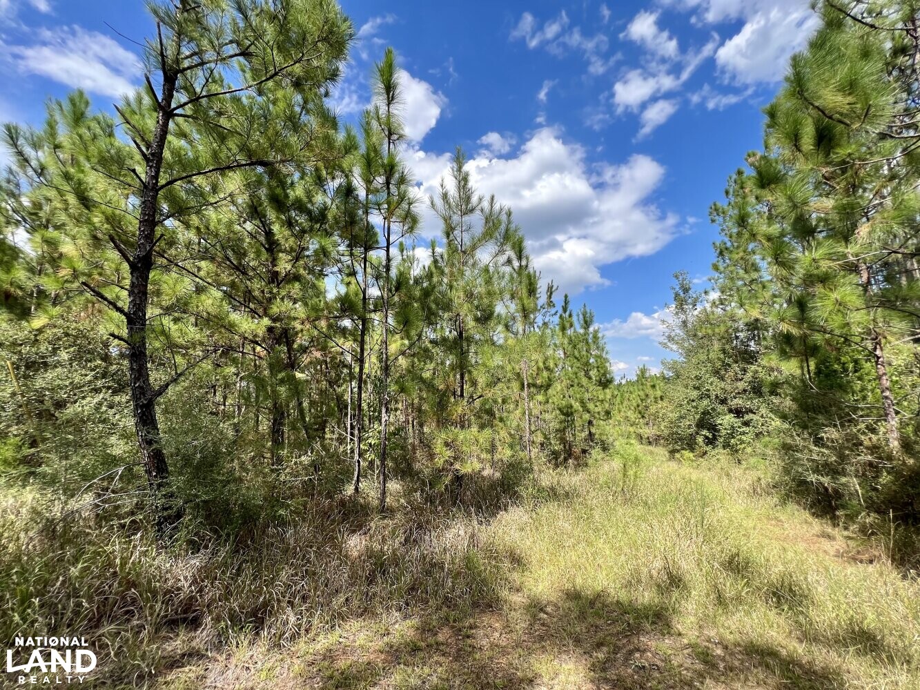 The Daphne Belforest Farm Lakefront Homesite With Acreage Lot 2 & 4 in