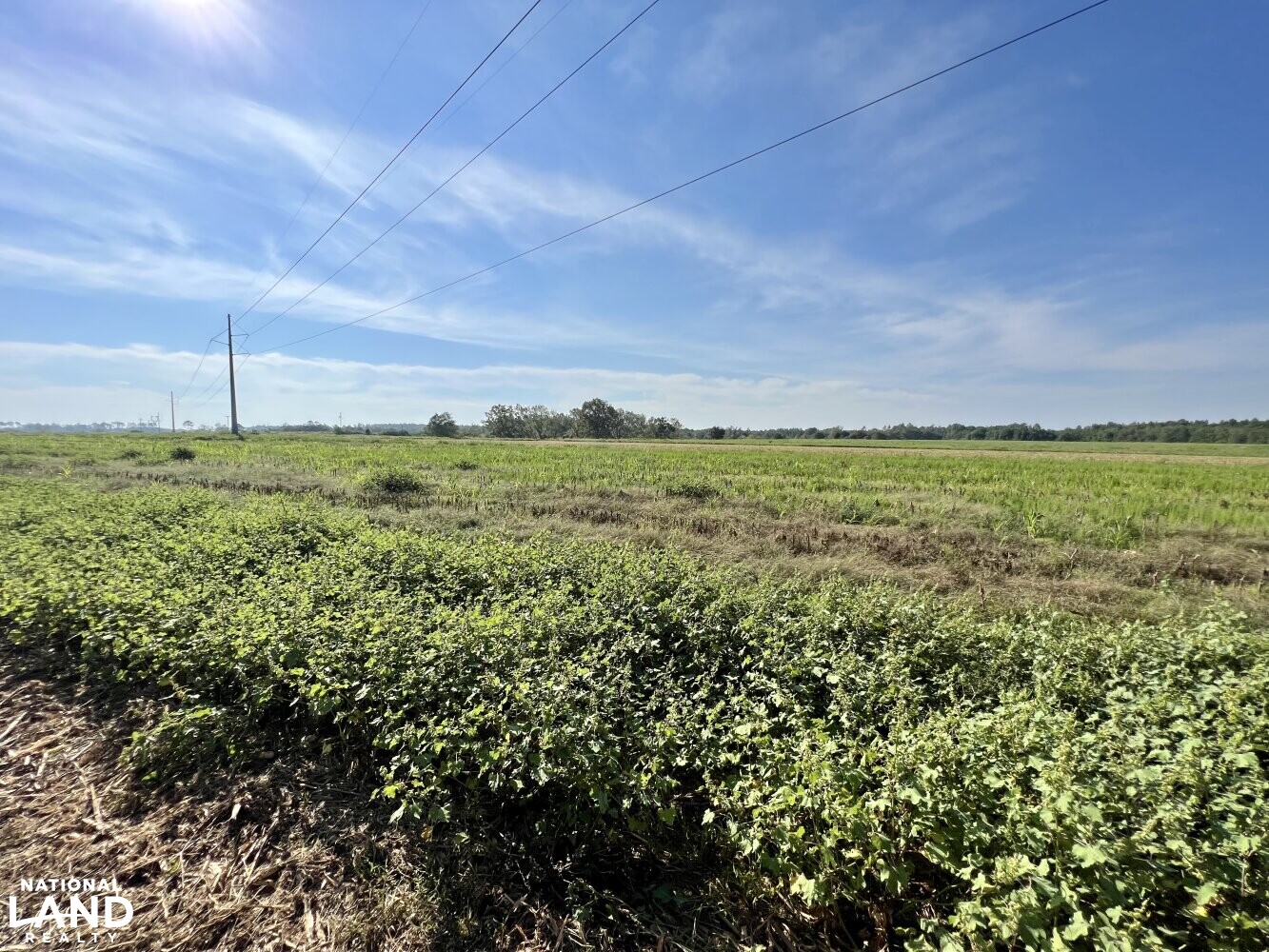 The Daphne Belforest Farm Lakefront Homesite With Acreage Lot 1, 2, 3