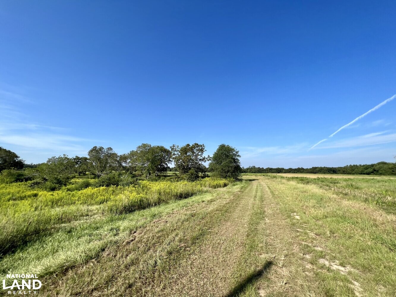 The Daphne Belforest Farm Lakefront Homesite With Acreage Lot 1, 2, 3