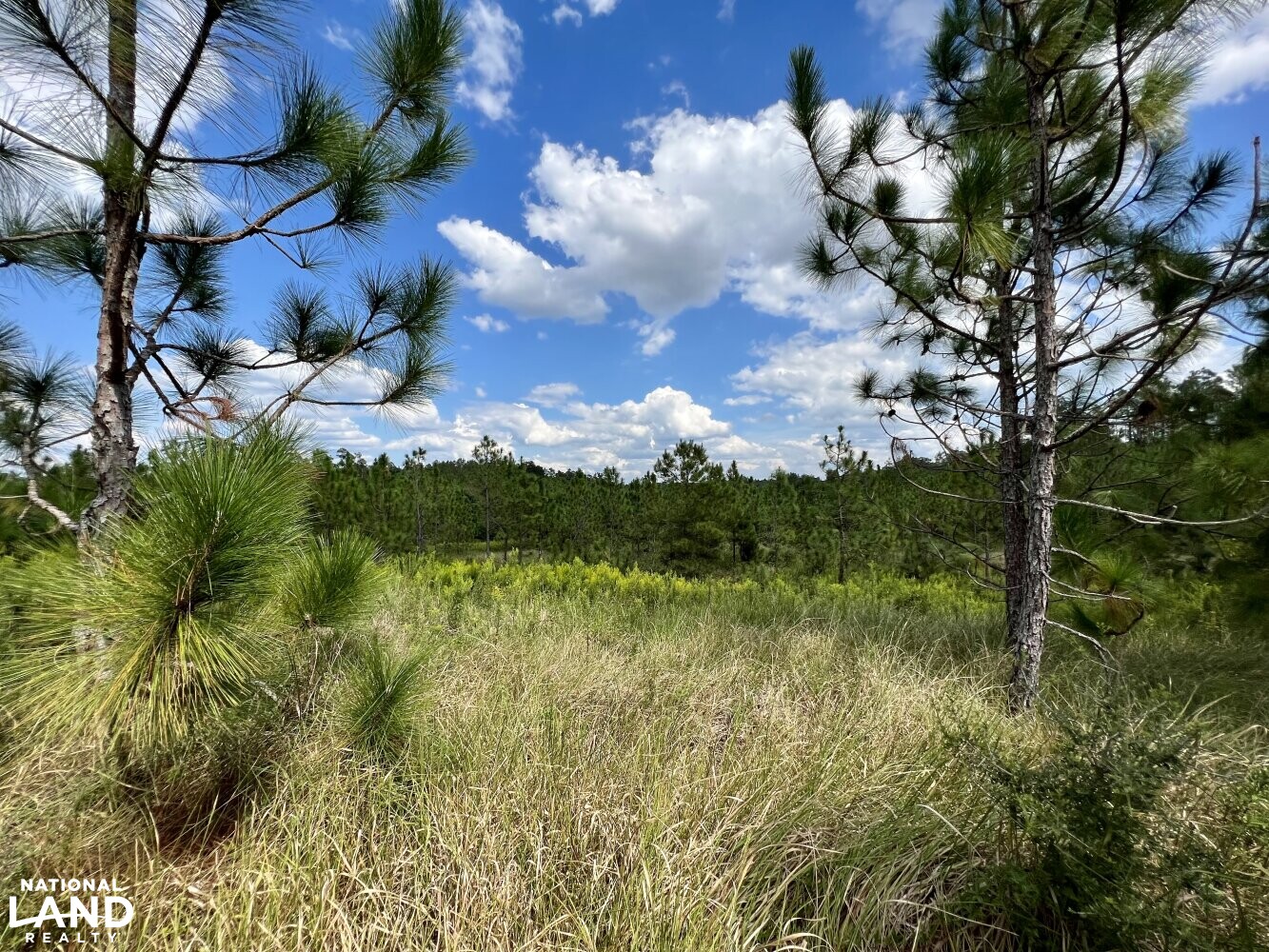 The Daphne Belforest Farm Lakefront Homesite With Acreage Lot 1, 2, 3