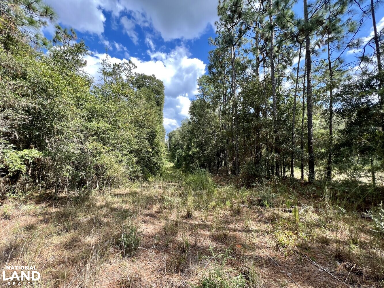 The Daphne Belforest Farm Lakefront Homesite With Acreage Lot 1, 2, 3