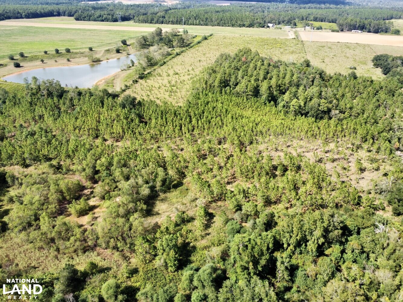 The Daphne Belforest Farm Lakefront Homesite With Acreage Lot 1, 2, 3