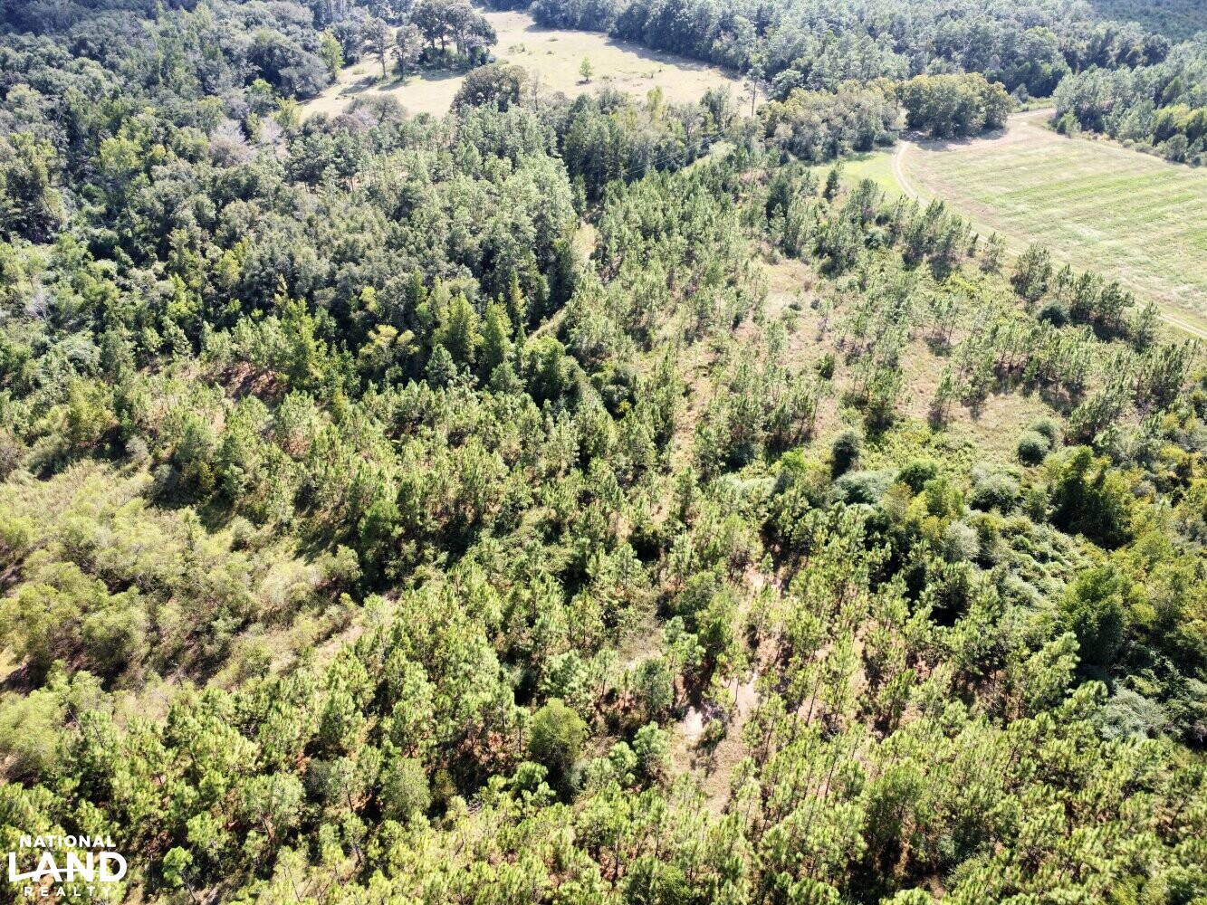 The Daphne Belforest Farm Lakefront Homesite With Acreage Lot 1, 2, 3