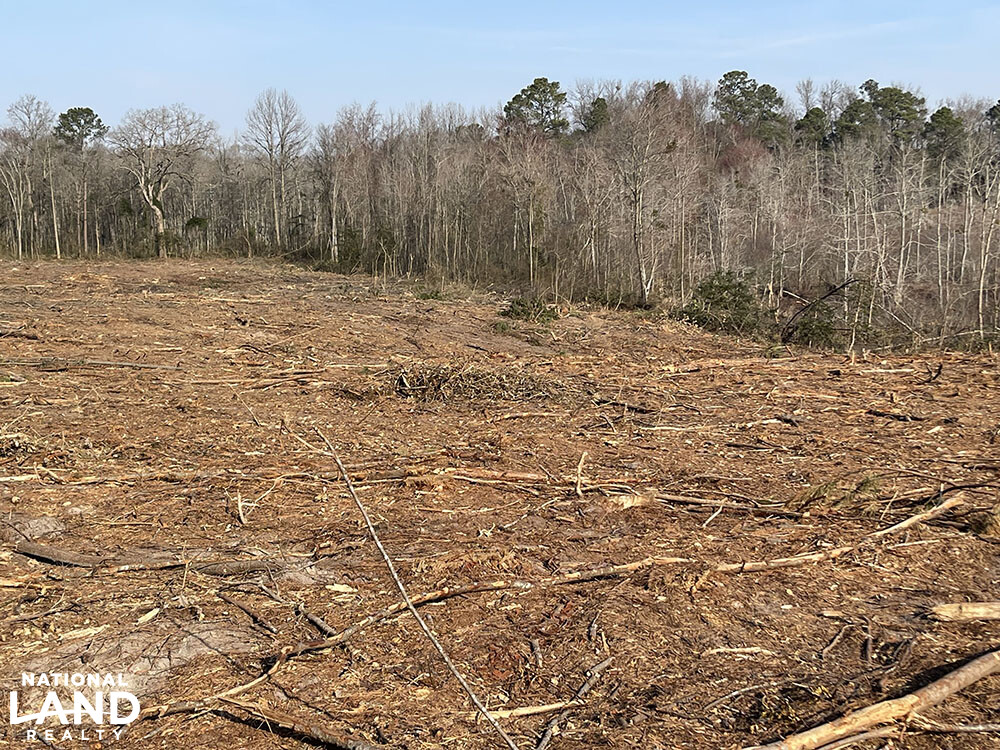 Twin Creeks Hunting cropland conversion in Scotland County, North