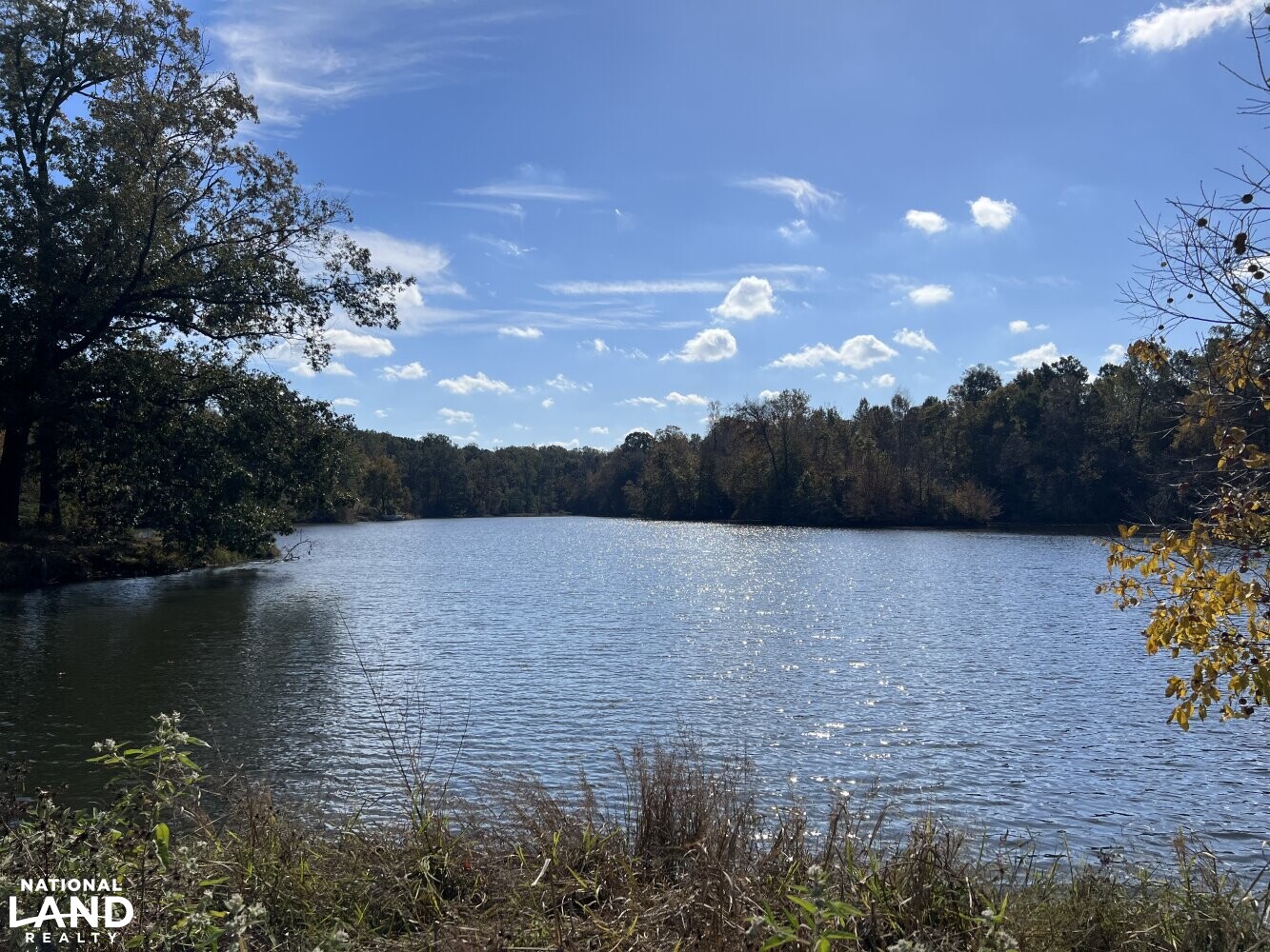 Lake Development Site near Millington, TN in Shelby County, Tennessee (25 Photos) National