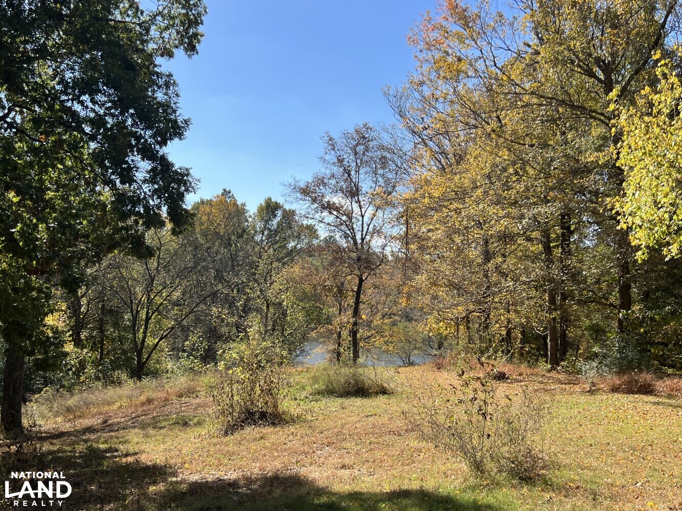 Lake Development Site near Millington, TN in Shelby County, Tennessee (25 Photos) National