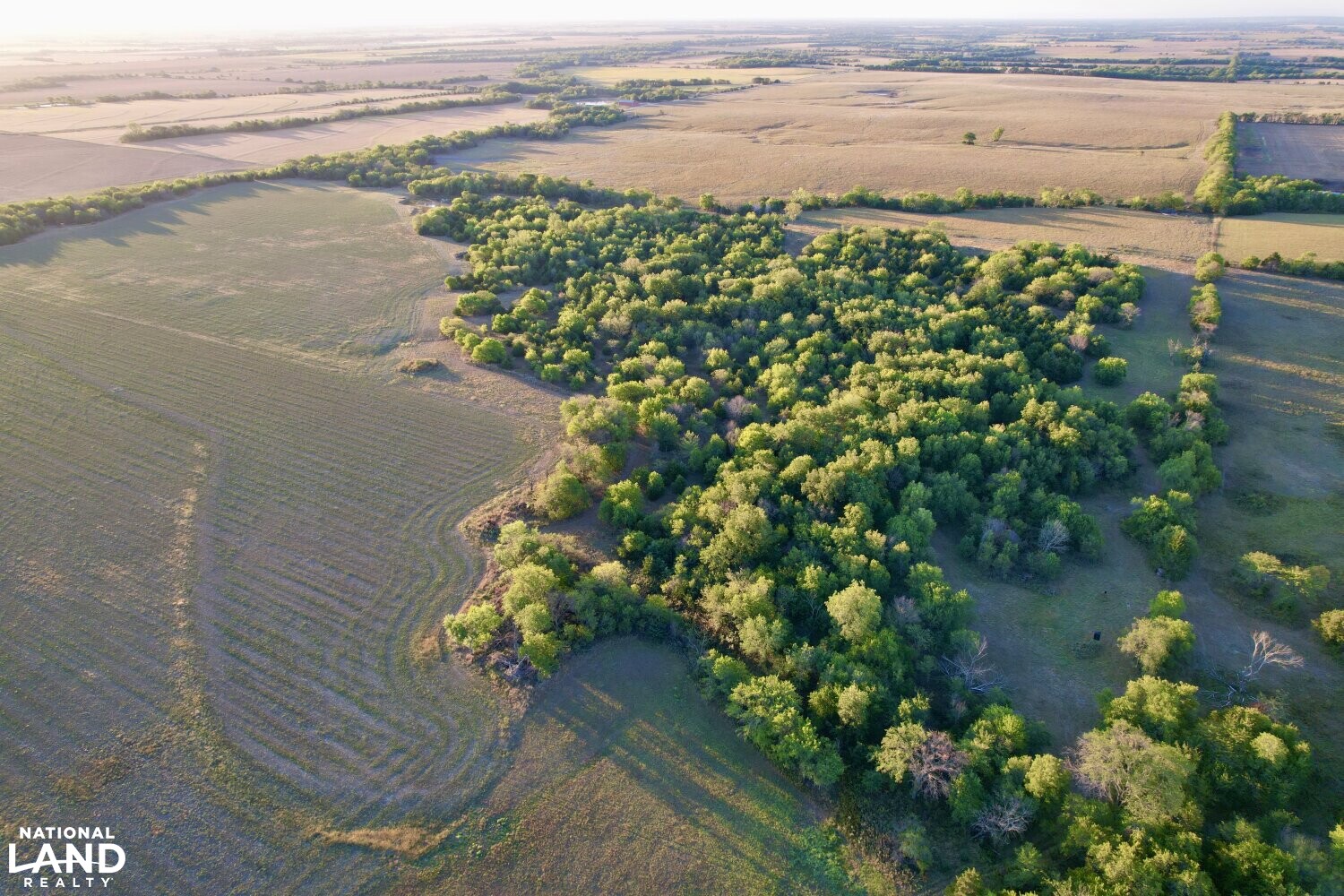 3/2 Cabin and Shop on 157 Acres in Anderson County, Kansas (74 Photos