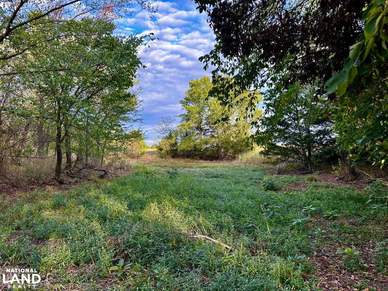 3/2 Cabin and Shop on 157 Acres in Anderson County, Kansas (74 Photos