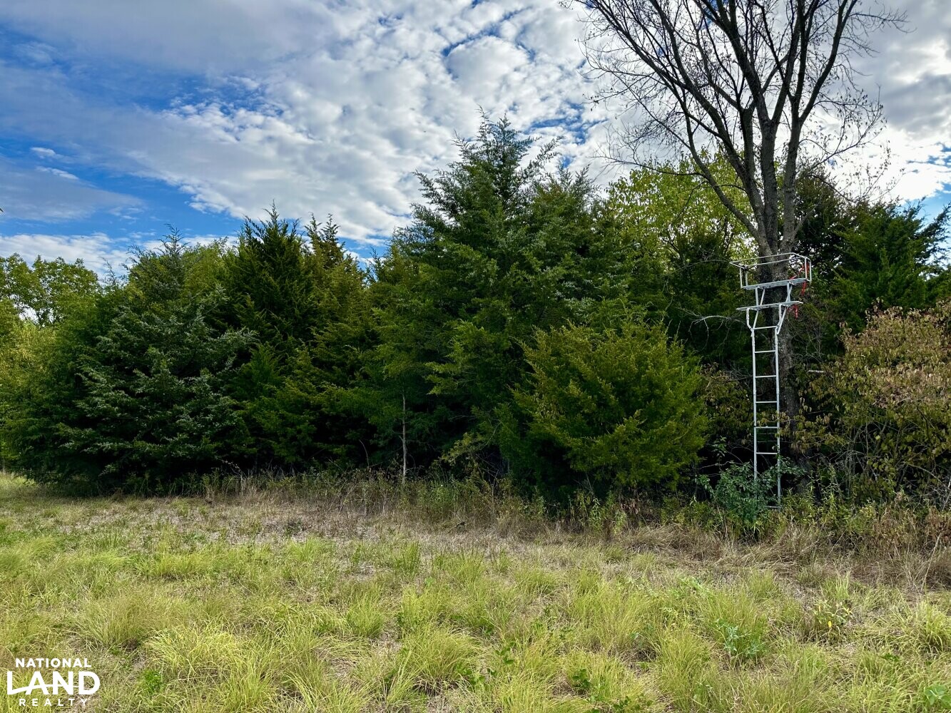 3/2 Cabin and Shop on 157 Acres in Anderson County, Kansas (74 Photos