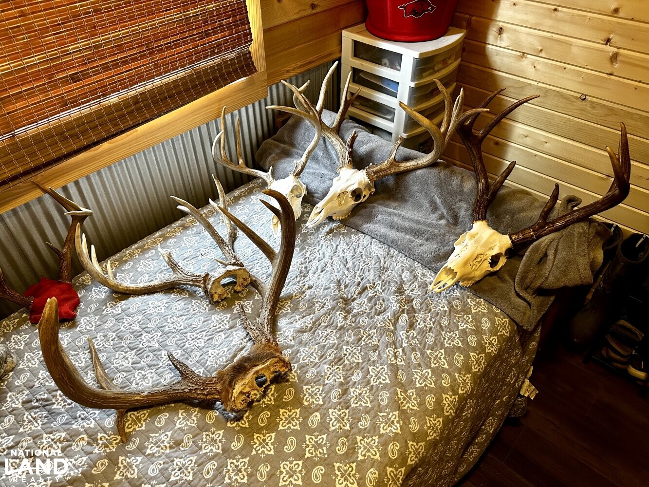 3/2 Cabin and Shop on 157 Acres in Anderson County, Kansas (74 Photos