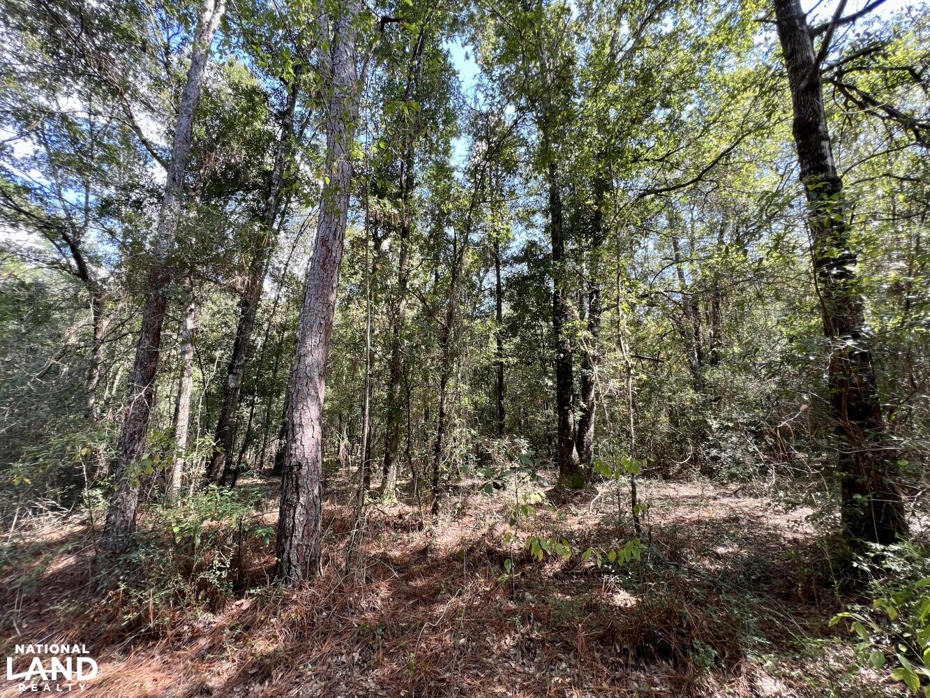 The Daphne Belforest Fish River Waterfront Homesite With Acreage Lot