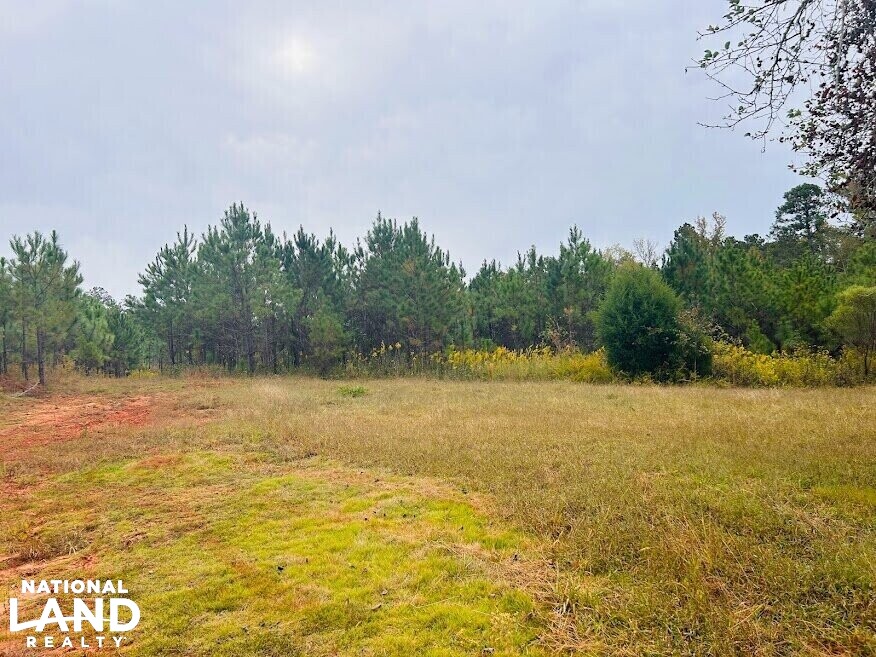Turnkey Hunting Recreational Land in Meriwether County, (50