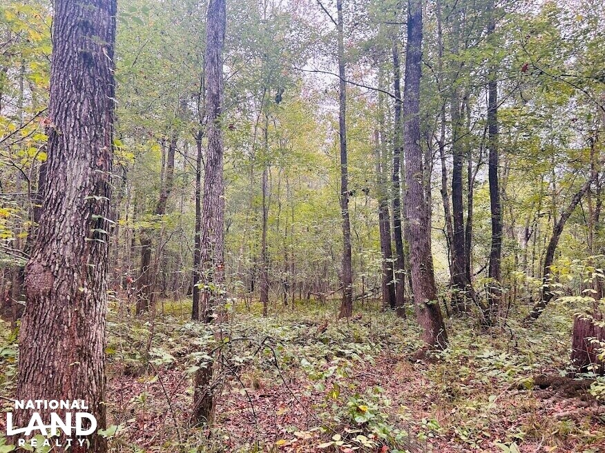 Turnkey Hunting Recreational Land in Meriwether County, (50